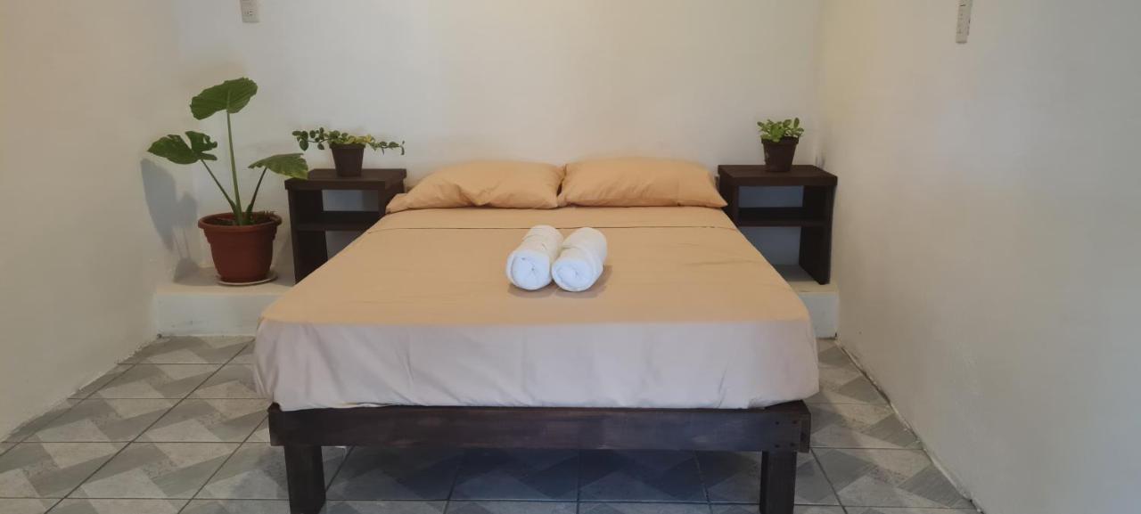 Casa Choco Hotel Mazunte Luaran gambar