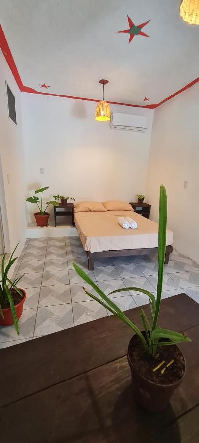 Casa Choco Hotel Mazunte Luaran gambar