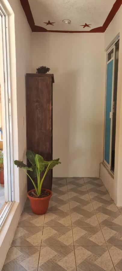 Casa Choco Hotel Mazunte Luaran gambar