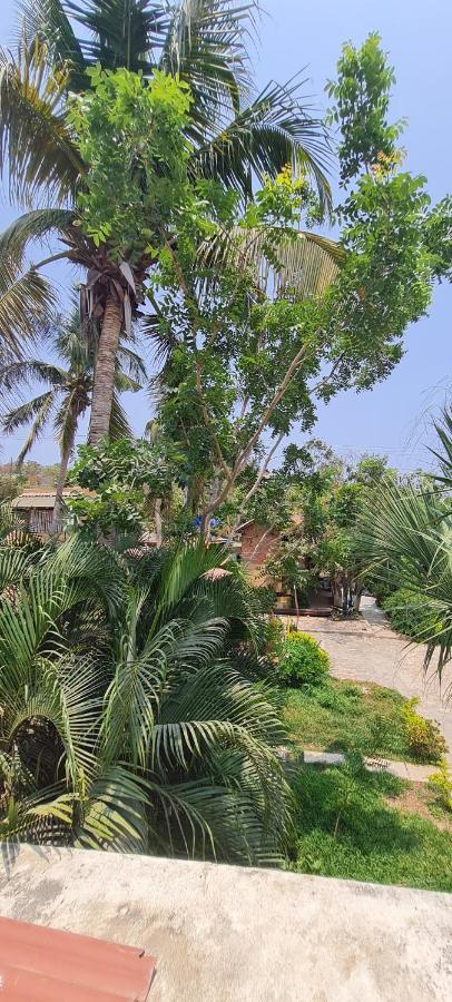 Casa Choco Hotel Mazunte Luaran gambar
